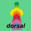 Ewald Kliegel - R&eacute;flexologie - Dermatomes dorsaux