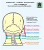 Les points lymphatiques de la réflexologie sur le cou