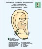 Points mentale sur la réflexologie des oreilles