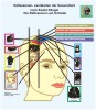 Réflexologie sur le crâne