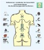 Réflexologie - Points Shu de l'acupuncture sur le dos