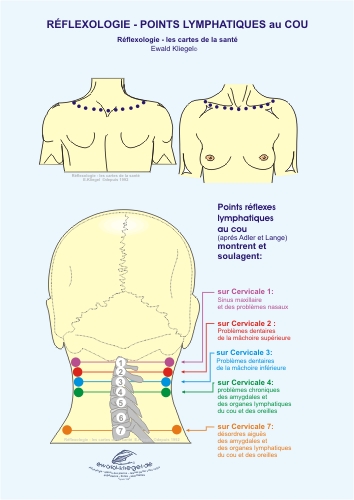 Réflexologie - les points lymphatiques sur le cou
