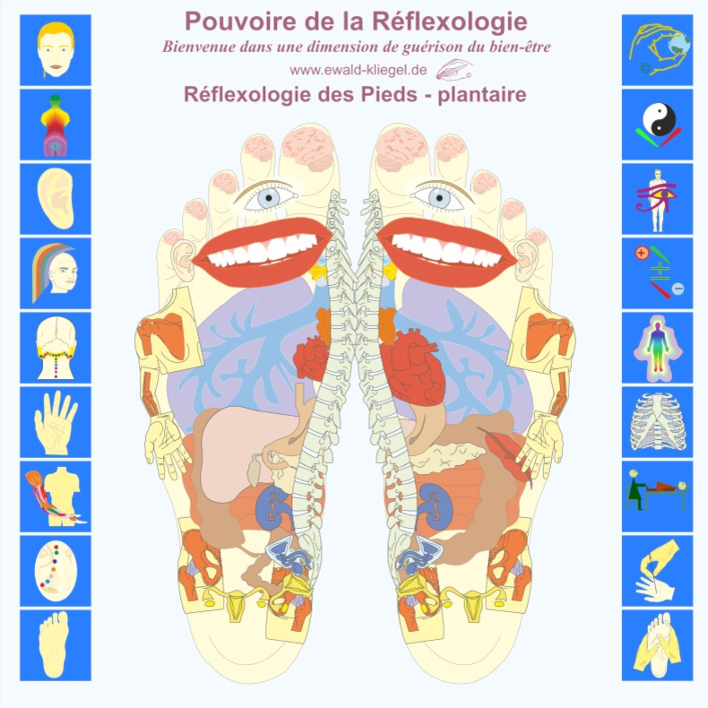 Pouvoire de la R&eacute;flexologie Ewald Kliegel R&eacute;flexologie des pieds